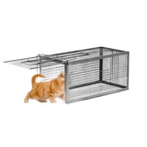 오소리 덫 너구리 멧돼지 포획 고양이 퇴치