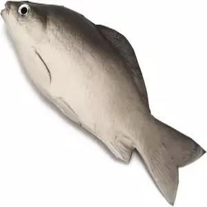 알보록스 자동차 안테나 토퍼 피쉬 크리에이티브 루프 장식 차량 트럭 또는 SUV를 위한 외관 재미있는 공중