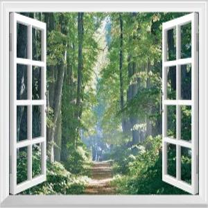 FLFK 가짜 창문 벽 스티커 - 장식 필 앤 스틱 24 x16 을 위한 숲 속 벽화의 길