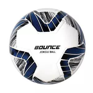 비바스포츠 족구공 바운스/게임/스포츠/시합/키즈/운동/경기/훈련/초등/족구볼/어린이/매치/연습/놀이/소장