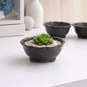 NO.28 다육 야생화 원형 작은화분 책상화분 카페 인테리어 플랜테리어