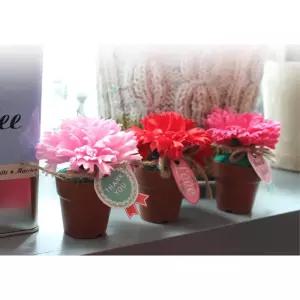 비누카네이션 화분n박스포장 DIY세트 5개 어린이집 할아버지 유치원