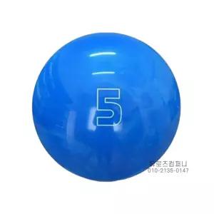 볼링공 연습용 입문용 가벼운 연습 초보자 축구공 수납장