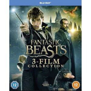 판타스틱 비스트: 3편 영화 컬렉션 [블루레이, 지역 무료]