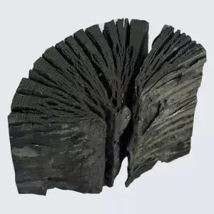 정제 간장숯 물정화 참숯 (백탄)생활숯 탈취 밥