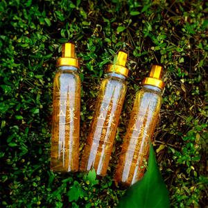 천종 산삼배양근 골드 금산 고려인삼 산삼추출액 20포