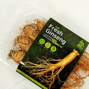 고려인삼 1호 금산 인삼 수삼 5-6년근 최상급 4뿌리