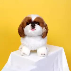 위더펫 리얼 강아지 인형 시츄/미니/낮잠/장난감/아기/아이/미니어처/동물/어린이/놀이/애착/모형/봉제