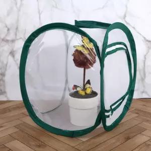 나비 곤충채집 키우기 관찰망 소