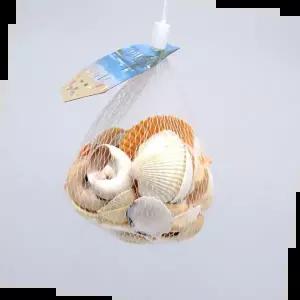 조개껍질 조개껍데기 만들기조개 조개껍질모음