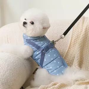 반려견 데일리 강아지산책아우터코디 실외 산책 강아지데일리산책패딩 아