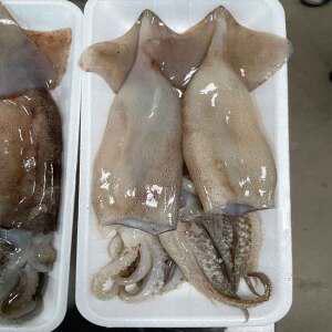 원양산 간편한 냉동 손질 통오징어 2미(400g내외) x 5팩