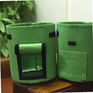 금전초 골드크래프트 재배용 부직포 화분 가꾸기 세트