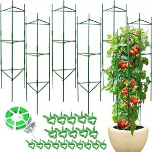 정원 및 화분용 토마토 케이지 6팩 녹슬지 않는 스테이크 식물 트렐리스 지원 채소 꽃 등반용 - 48인치