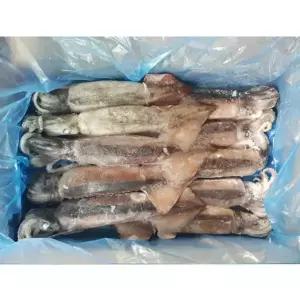 냉동 베이트 오징어 통오징어 3kg 10미