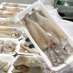 [산지플러스] 원양산 손질통오징어 2미 350g x 3팩 (총 1050g)