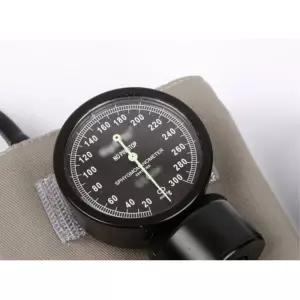 간호실습 수동혈압계 병원 혈압측정기 노인 한의원 요양원 건강