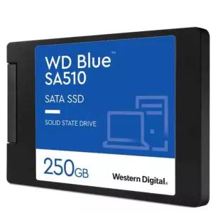 메모리칩 PC카드 SATA SSD Blue 250GB