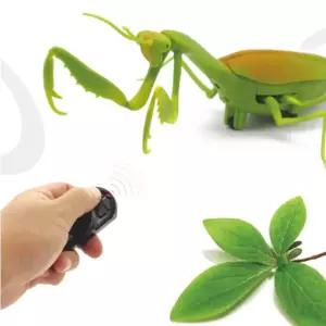 7살 남자 아이 장난감 선물 무선 조종 리얼 사마귀 RC 초등 학생 6살 6세 7세 조카 남아 생일