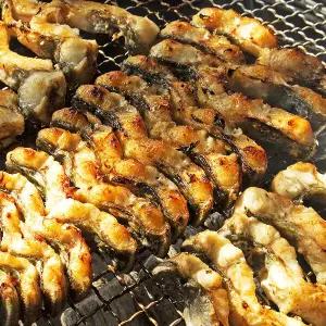 국내산 자포니카 민물장어 600g 이상 얼음포장+소스 2종+생강채