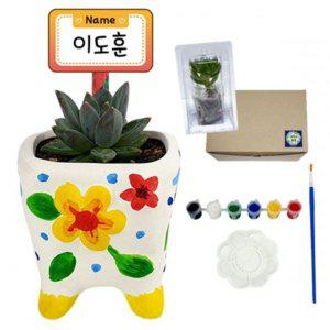 유치원 유치원미술 미술 다육식물 집미술 보호케