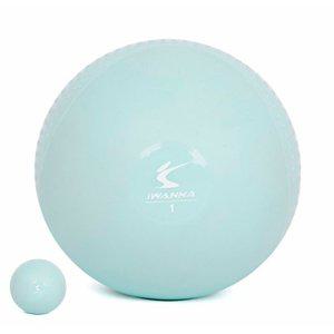 마사지볼 밸런스보드 스트레칭보드 아쿠아백 소프트 토닝볼 1kgx2개 세트 웨이트 스트레칭