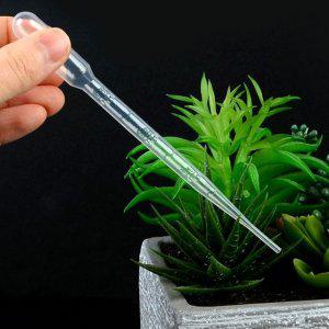 액체비료용 원예용 플라스틱 스포이드 자연 눈금