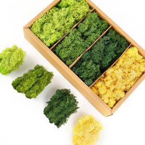 인공 녹색 식물 영원한 생명 이끼 DIY 잔디 정원 공예, 홈 룸 장식, 미니 풍경 가짜 잔디 20g, 1000g