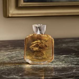 125ML 네이처 향수 세련된 시더 플라워 베티버 디자인 향수 남성용 클래식 오리엔탈 코롱