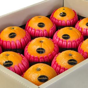 블랙라벨 고당도 오렌지 선물세트 3kg (12입)