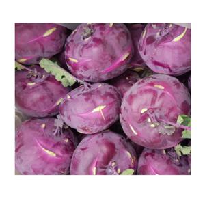 [푸디앤] 제주 스위트 콜라비  5kg