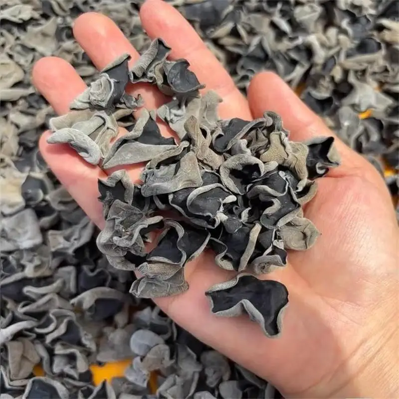 가정용 건버섯 무근 두툼 높은 불림률 200G