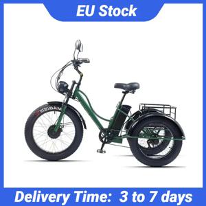 남자를위한 48V 750W 전기 자전거 강력한 24 인치 지방 타이어 자전거 모든 지형 전기 세발 자전거 성인 노인을위한 3 바퀴