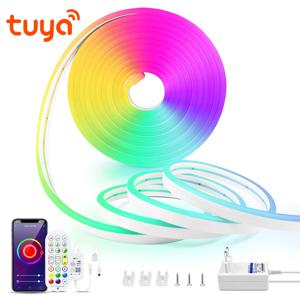블루투스 WIFI Led 스트립 5m 3m 2m 1m RGB 네온 불빛 Tuya 스마트 라이프 220V 110V ~ 12V fita led 램프 홈 인테리어