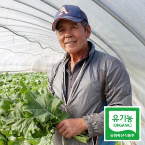 담양 이상직 유기농 케일 즙용 2kg 친환경 곱슬케일