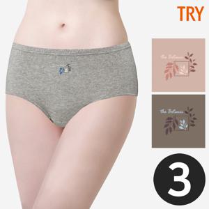여성면스판팬티 60수 신축성 베이직 삼각 맥시팬티 세트