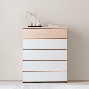 아르쉘 1000 5단 그랜드 광폭 서랍장 DF911649