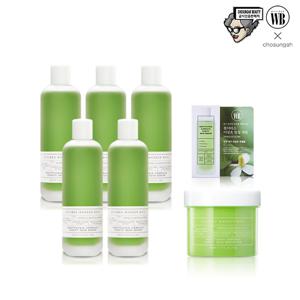 조성아뷰티 어성초 청정세럼 세럼