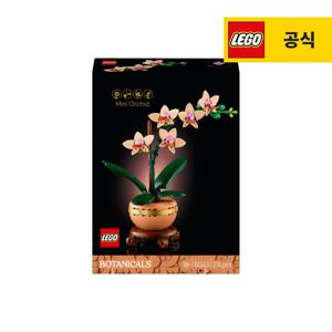 보태니컬 10343 미니 난초