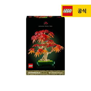 보태니컬 10348 단풍나무 분재