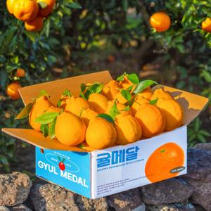 귤메달 써니트한라봉 2kg 3kg 5kg