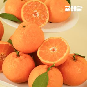 [단독/강주은 PICK] 귤메달 제주 윈터프린스 총 6KG (3KG + 3KG)