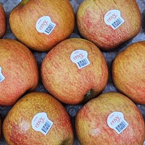 엔비사과 햇 꿀 사과 경북 (정품 2kg) +1kg행사/ 동일 옵션 2개 구매 시 1kg 서비스 총 5kg 발송 해드립니다