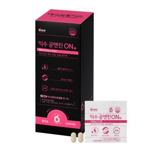익수 공앤진ON정 30포 피로회복제 기력회복제 활력 순환(30일 분)
