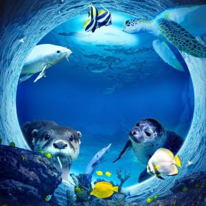 |특가| 대전 아쿠아리움 입장권/대전아쿠아플라넷/수족권/아이랑/키즈카페/가볼만한곳/여행/체험/데이트