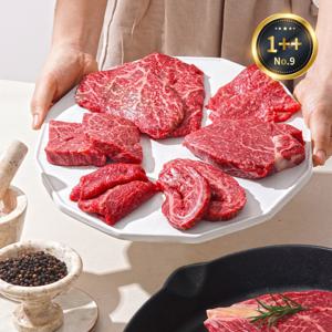 1++NO.9 등급 한우 100g+100g 골라담기 6종 택1  불고기용 등심 육회 (2개사면 무료배송)