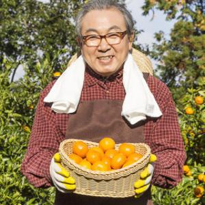 (신선집중) 귤 감귤 저농약 타이벡 당도 11Brix이상조생감귤 4.5kg(2S-M)