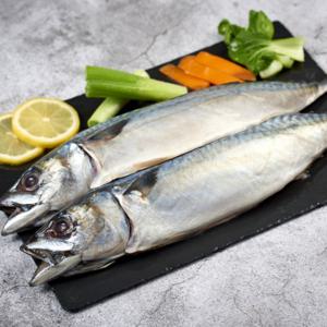고등어 자반고등어 고갈비 간고등어 국내산 10미 대형사이즈 (원물 5kg 내외) 손질 후 3.7kg 내외