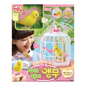 따라쟁이 앵무/인형/새/어린이날선물