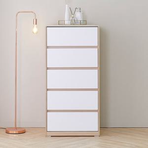 퍼스웰 도도스 강화UV코팅 광폭600 5단 서랍장(DO_003)